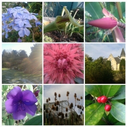 Some snapshots from the Botanical Gardens